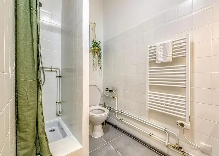 Daire Entre Gare Et Centre-ville: Lit Double, Wifi Grenoble